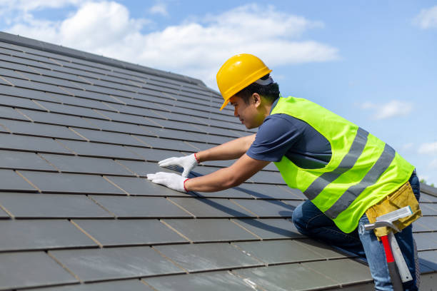 Best Roof Leak Repair  in New Town, ND