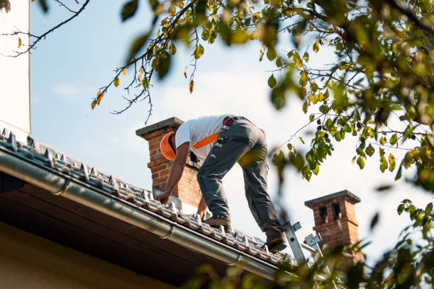 Best Storm Damage Roof Repair  in New Town, ND
