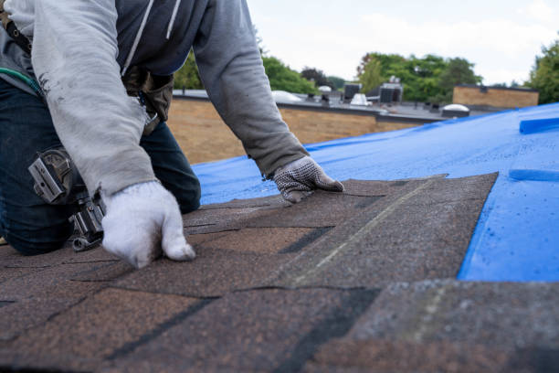 Best Flat Roof Repair Services  in New Town, ND
