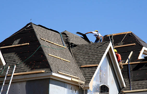 Best Local Roofing Companies  in New Town, ND