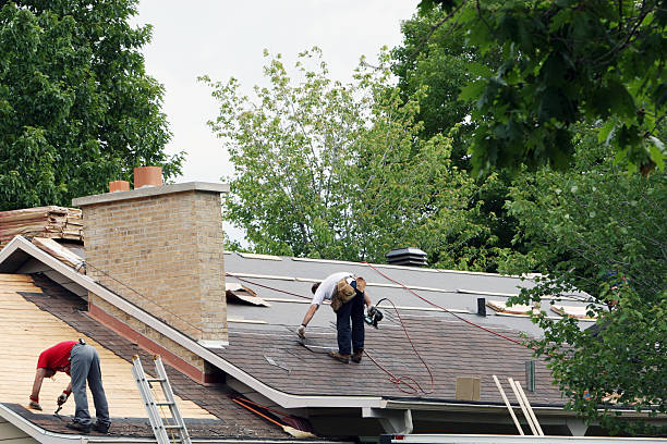 Best Roof Repair Services  in New Town, ND